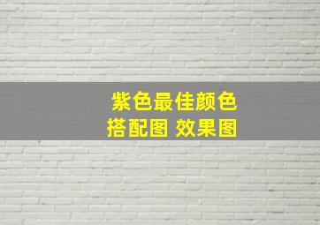 紫色最佳颜色搭配图 效果图